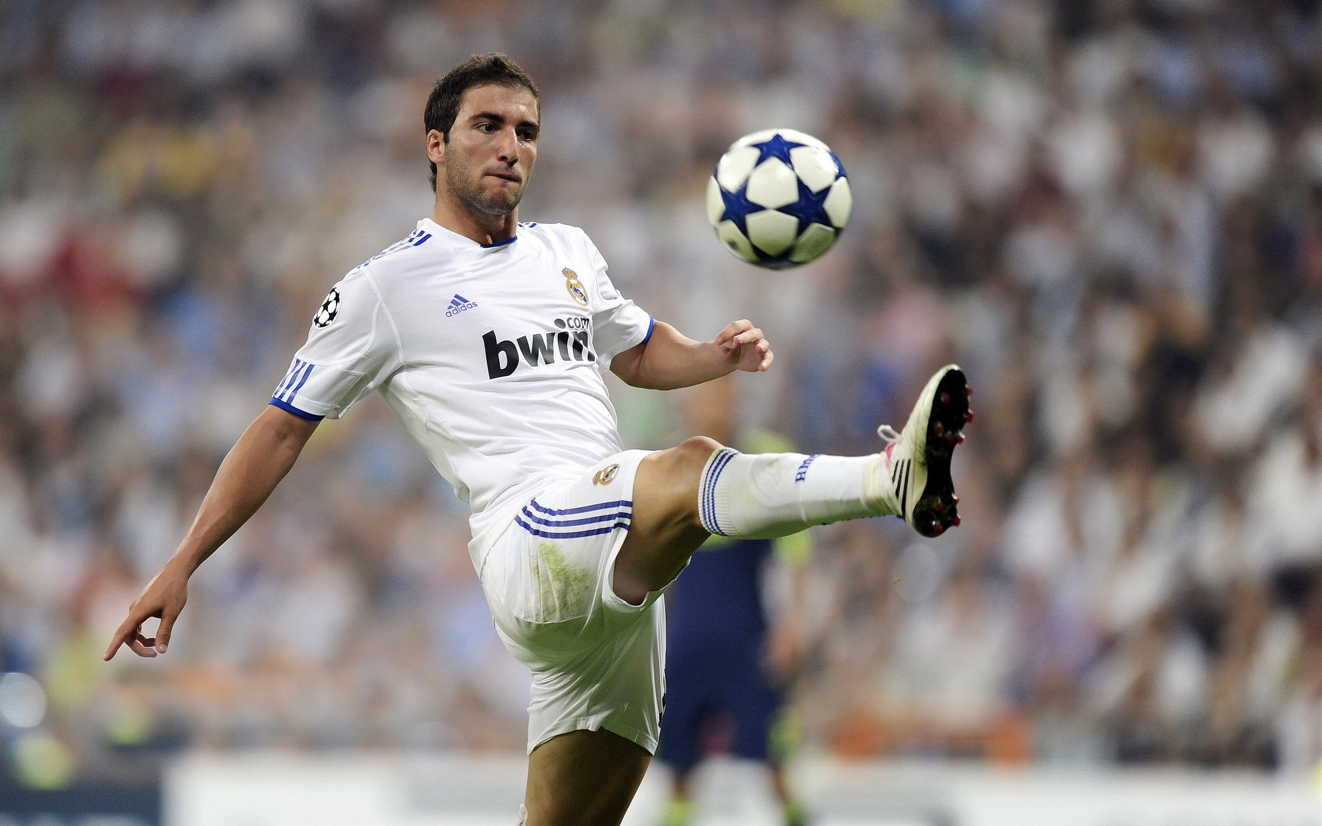 塔图姆迎来十二赛季出色发挥,快船观众热烈欢呼!引发球迷热议